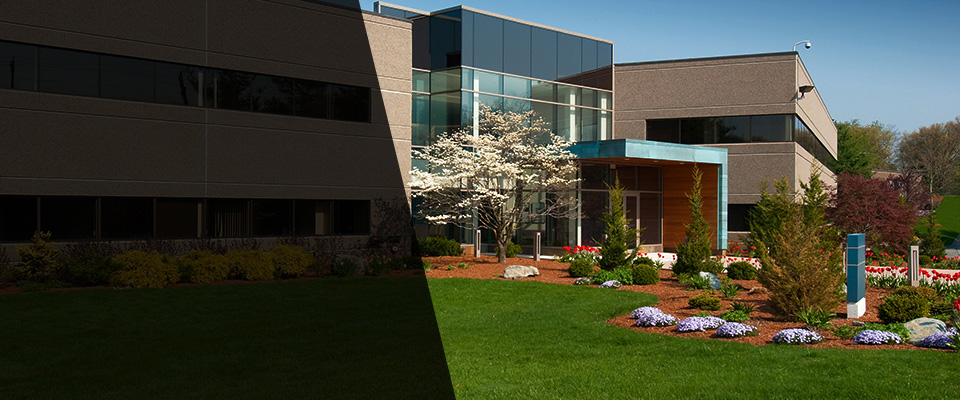 Monterey Park Landscapers