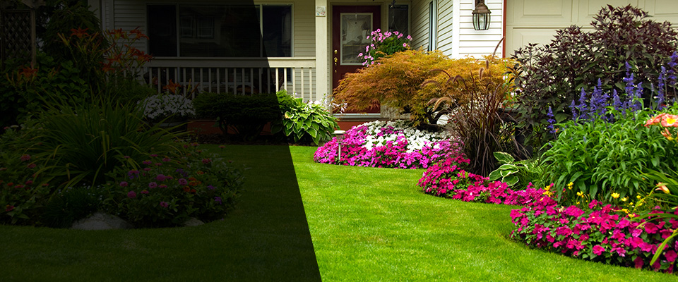 Monterey Park Landscapers