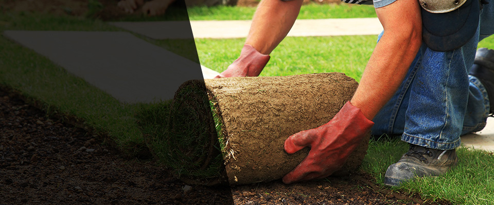 Monterey Park Landscapers